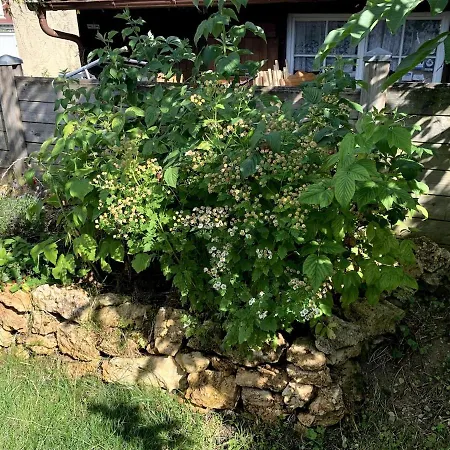Cozy Little Townhouse With Charm Vakantiehuis Reutlingen